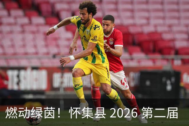 燃动绿茵！怀集县 2026 第二届 “环山 & 中天杯” 元老足球赛完整赛程出炉，全城球迷速看！